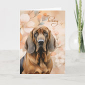 Bloodhound Dog Soft Peach Blossoms Birthday Karte (Vorderseite)