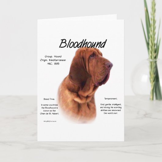 Bloodhound History Design Feiertagskarte (Vorderseite)
