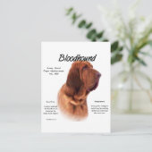 Bloodhound History Design Postkarte (Stehend Vorderseite)