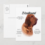 Bloodhound History Design Postkarte (Vorne/Hinten)