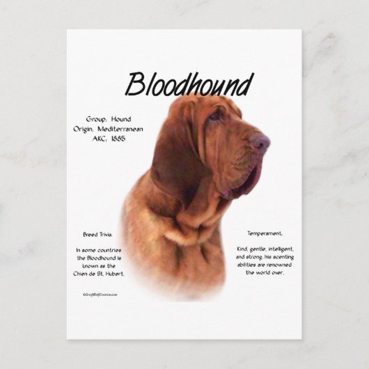Bloodhound History Design Postkarte (Vorderseite)