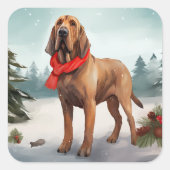 Bloodhound Hund im Schnee Weihnachten Quadratischer Aufkleber (Vorderseite)
