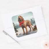 Bloodhound Hund im Schnee Weihnachten Quadratischer Aufkleber (Umschlag)
