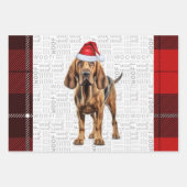 Bloodhound Hund Red Holiday Kariert Weihnachten Geschenkpapier Set (Vorderseite)