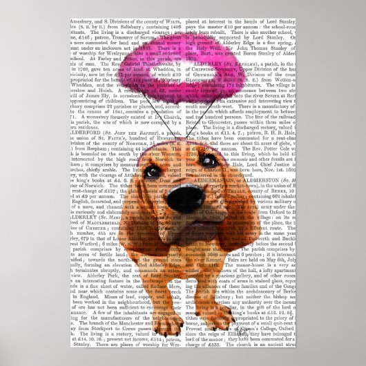 Bloodhound mit Angelic Pink Halo Poster (Vorne)