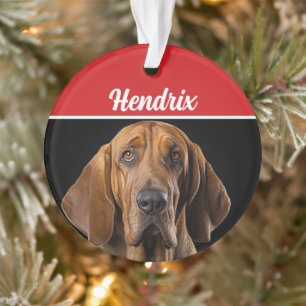 Bloodhound mit Name und Foto Weihnachten Ornament