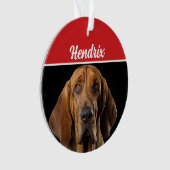 Bloodhound mit Name und Foto Weihnachten Ornament (Vorderseite)