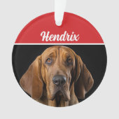 Bloodhound mit Name und Foto Weihnachten Ornament (Vorderseite)