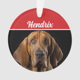 Bloodhound mit Name und Foto Weihnachten Ornament