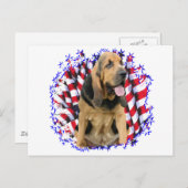 Bloodhound Patriot Postkarte (Vorne/Hinten)