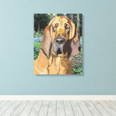 Bloodhound Portrait Leinwanddruck (Insitu (Holzboden))