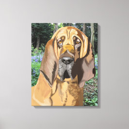 Bloodhound Portrait Leinwanddruck