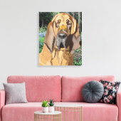 Bloodhound Portrait Leinwanddruck (Insitu (Wohnzimmer))