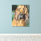 Bloodhound Portrait Leinwanddruck (Insitu (Holzboden))