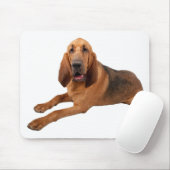 Bloodhound Puppy Hunde Regel Mousepad (Mit Mouse)