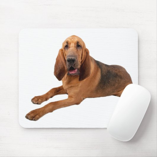 Bloodhound Puppy Hunde Regel Mousepad (Mit Mouse)
