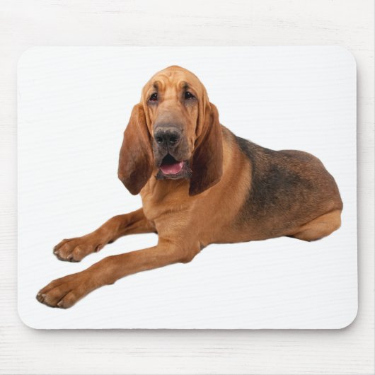 Bloodhound Puppy Hunde Regel Mousepad (Vorne)