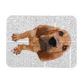 Bloodhound Puppy Magnet (Horizontal)