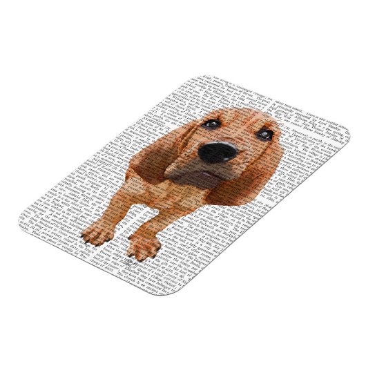 Bloodhound Puppy Magnet (Linke Seite)