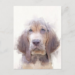 Bloodhound Puppy Portrait Postkarte