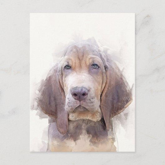 Bloodhound Puppy Portrait Postkarte (Vorderseite)