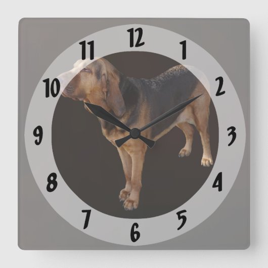 Bloodhound Quadratische Wanduhr (Vorderseite)