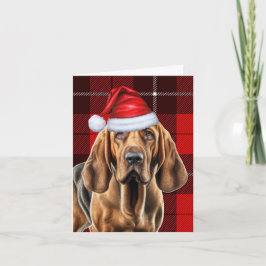 Bloodhound Red Saasonal Karierte Weihnachten
