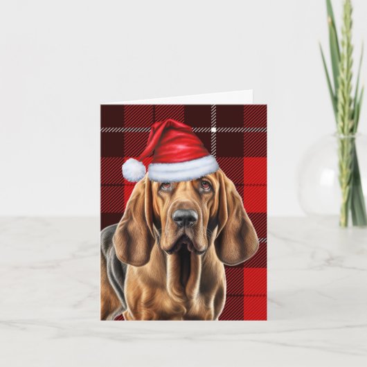 Bloodhound Red Saasonal Karierte Weihnachten (Vorderseite)