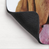 Bloodhound (St. Hubert Hound) mit geschlossenen Au Mousepad (Ecke)