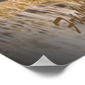 Bloodhound Sunset Poster (Ecke)