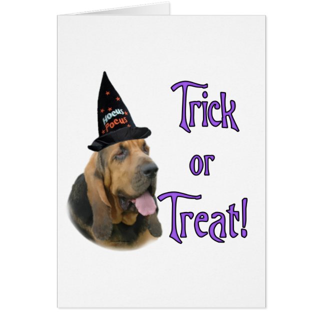 Bloodhound Trick (Vorne)