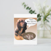 Bloodhound Türkei Postkarte (Stehend Vorderseite)