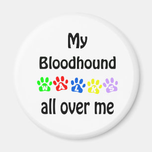 Bloodhound Walking Design Magnet
