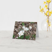 Bloodroot Bouquet Karte (Gelbe Blume)