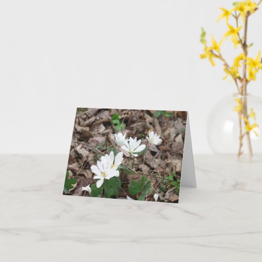 Bloodroot Bouquet Karte (Gelbe Blume)