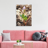 Bloodroot Bud - Vorbote des Frühlings Leinwanddruck (Insitu (Wohnzimmer))