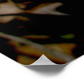 Bloodroot Trio Poster (Ecke)