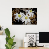 Bloodroot Trio Poster (Heimbüro)