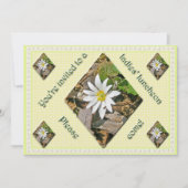 Bloodroot Wildblume Ladys Luncheon Einladung (Vorderseite)