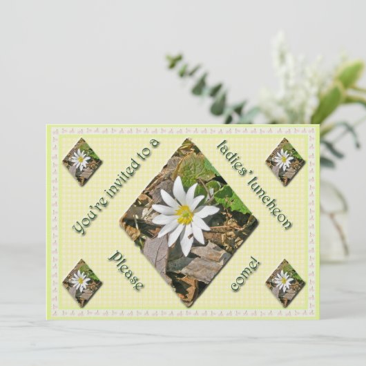 Bloodroot Wildblume Ladys Luncheon Einladung (Stehend Vorderseite)