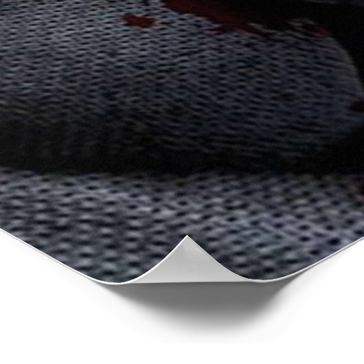 Bloody Omni Man Poster (Ecke)