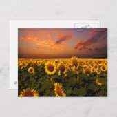 Bloody Skies Postkarte (Vorne/Hinten)