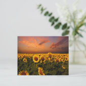 Bloody Skies Postkarte (Stehend Vorderseite)