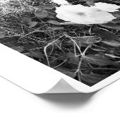 Bloom Black und White Fotografy Poster (Ecke)