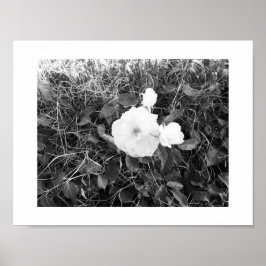 Bloom Black und White Fotografy Poster