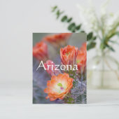 Bloom in Orange, Arizona Postkarte (Stehend Vorderseite)