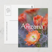 Bloom in Orange, Arizona Postkarte (Vorne/Hinten)