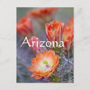 Bloom in Orange, Arizona Postkarte