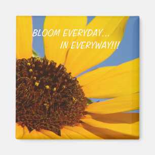 BLOOM JEDEN TAG..., IN JEDEM WEGEN!!! MAGNET