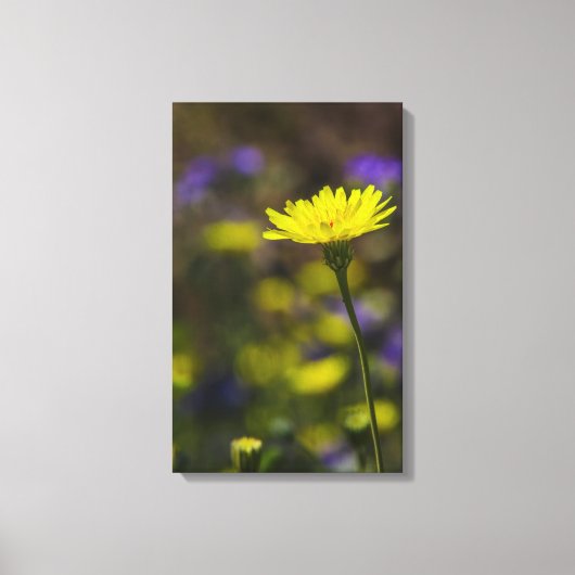 Bloom Leinwanddruck (Vorderseite)